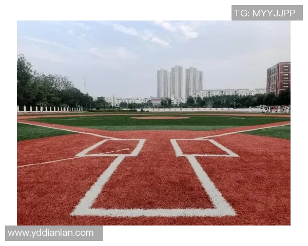 武汉羽毛球队逆袭之路揭秘城市联赛背后的奋斗与荣耀