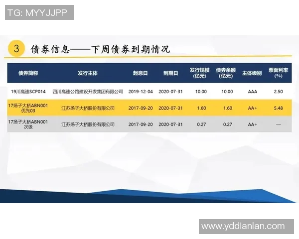 深圳羽毛球队个人能力分析与表现评估研究报告 深圳羽毛球队个人能力分析与表现评估研究报告