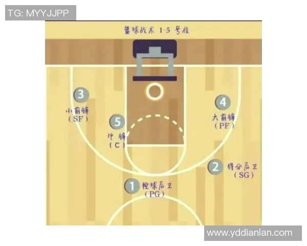 南京篮球队防守策略深度分析与战术解读