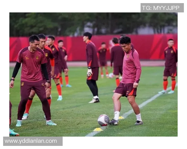 沈阳190cm足球明星的崛起与未来发展之路探讨 沈阳190cm足球明星的崛起与未来发展之路探讨