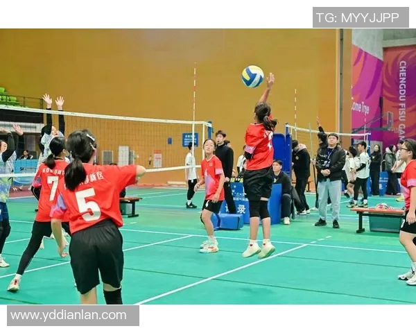 成都排球队的精神风貌与发展历程探讨：排球运动的魅力与挑战