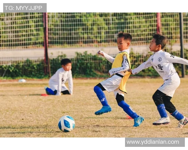 托尼在绿茵场上挥洒汗水与激情,足球梦想的追逐之旅 托尼在绿茵场上挥洒汗水与激情,足球梦想的追逐之旅