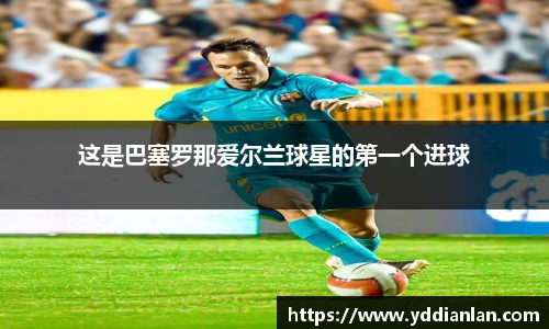 BB贝博登录入口