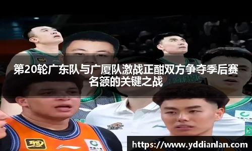 BB贝博登录入口